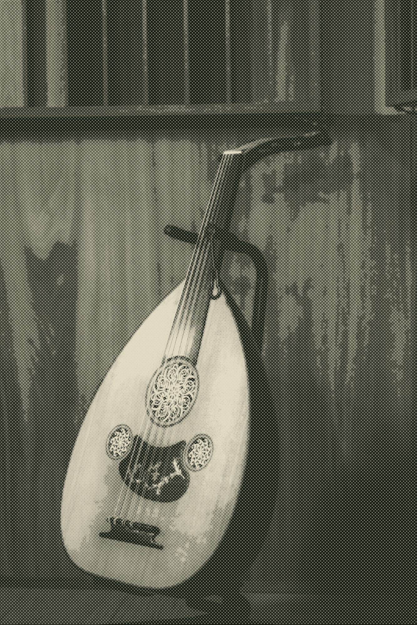 a close view of a traditional oud against a wooden backdrop